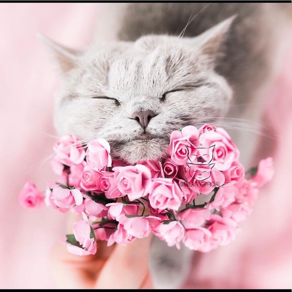 Meet your Posher, Tami - Picture 1 of 1